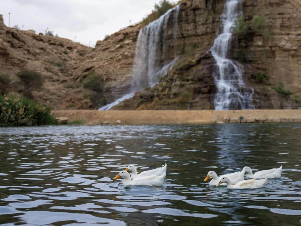 الأنشطة المجانية في الرياض
