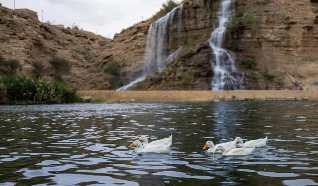 الأنشطة المجانية في الرياض