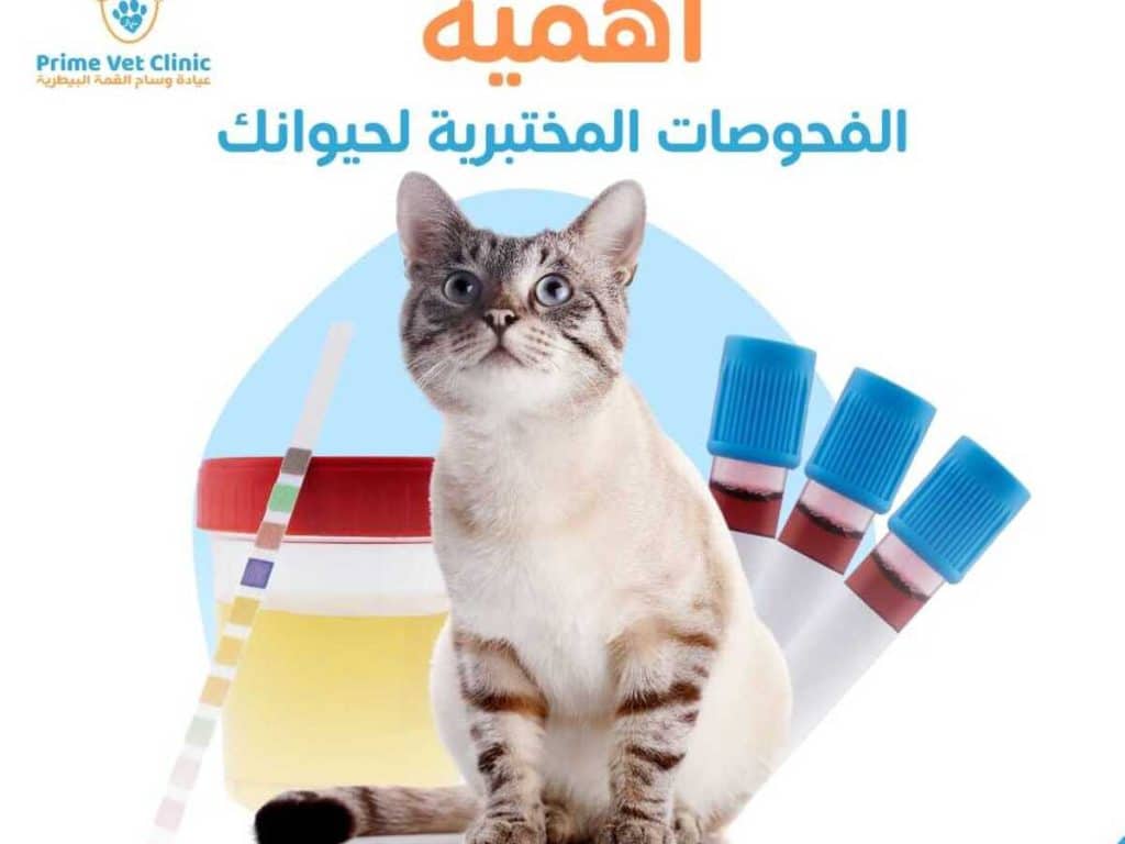 العيادات البيطرية في الرياض