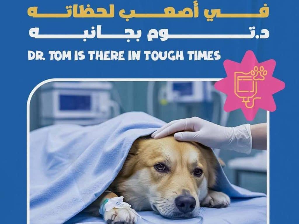 العيادات البيطرية في الرياض