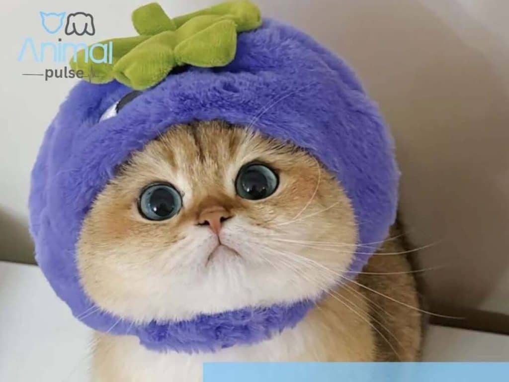 العيادات البيطرية في الرياض