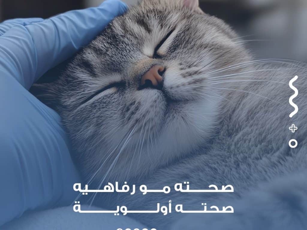 العيادات البيطرية في الرياض