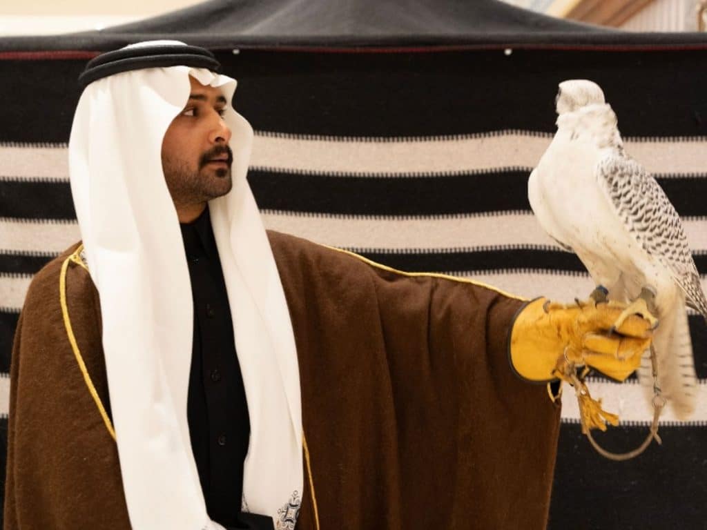 عروض اليوم الوطني 95